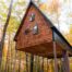 Forest Loft